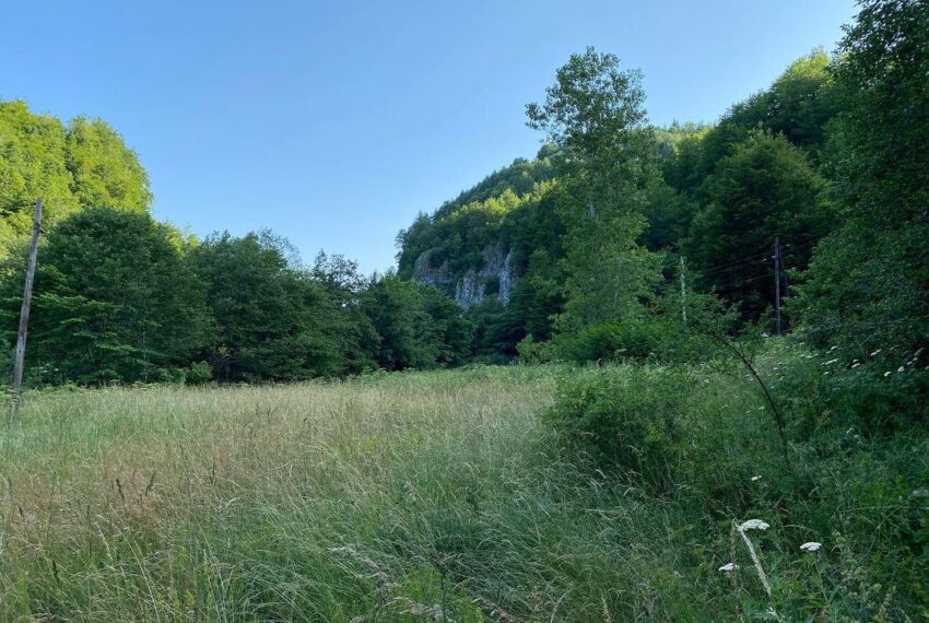 We are selling a large plot of land in Kolašin.