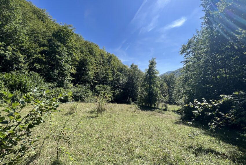 We are selling a plot in Kolašin.