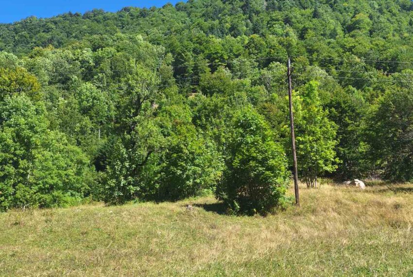 Podajemo izvanredan plac u Kolašinu, nadomak skijališta.