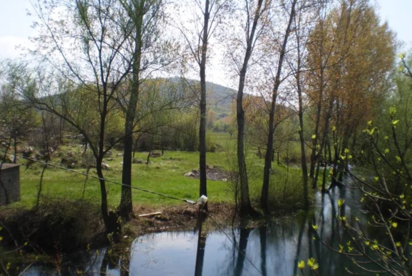 Prodaje se veći plac u Bandićima, Danilovgrad sa izlazom na rijeku.