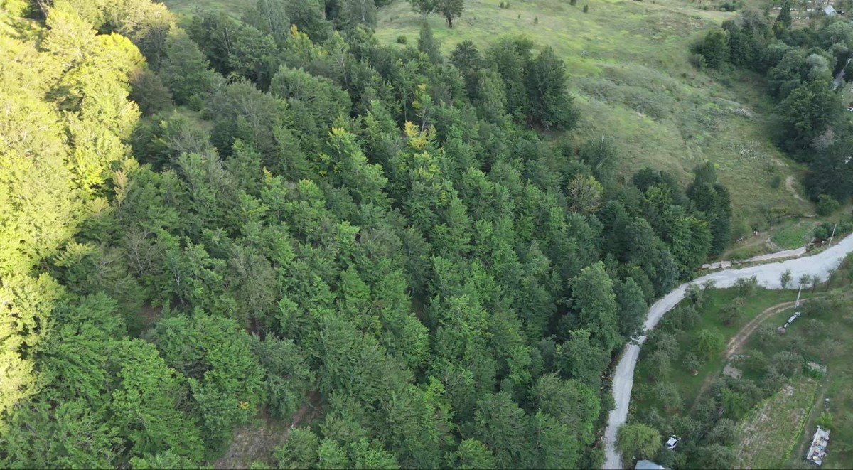 Prodaje se velika povšina zemljišta u Kolašinu, selo Jabuka. 