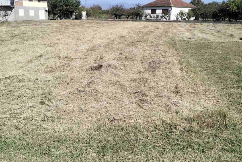 Property for sale in Zeta, Mahala, with house and auxiliary facilities.